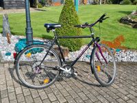 Citybike Pegasus 28" Nordrhein-Westfalen - Wickede (Ruhr) Vorschau