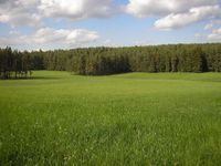 Grundstück Sachsen - Lengenfeld Vogtland Vorschau