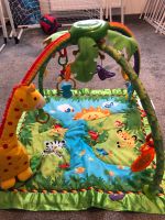 Fisher Price Spielbogen Erlebnisdecke Rainforest Bayern - Hemhofen Vorschau