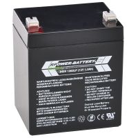 RPower Batterie 12V 5.2Ah AGM Longlife Versorgungsbatterie OGiV Hessen - Rodgau Vorschau