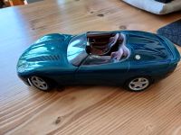 Jaguar XK180 1/18 Baden-Württemberg - Hockenheim Vorschau