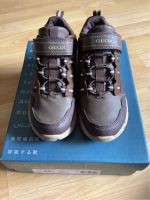 Geox Herbst Stiefeletten Gr.30 Rheinland-Pfalz - Ramsen Vorschau