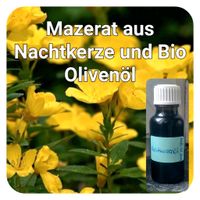Mazerat aus Nachtkerze und Bio Olivenöl Nordrhein-Westfalen - Siegen Vorschau