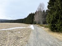 AUKTION: 2,4 ha Splitterflächen/unbebaute Grundstücke (überw. Waldflächen) Sachsen - Johanngeorgenstadt Vorschau