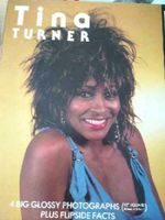 4 Fotos von Tina Turner, 30,5x30,5 cm Niedersachsen - Nordhorn Vorschau