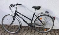 Prohohete Damen Jugendrad Shimano Droptube 28 Zoll Fahrrad Baden-Württemberg - Waghäusel Vorschau
