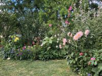 Haus und Garten in gute Hände abgeben-Gartenliebhaber suchen Haus Bonn - Bonn-Zentrum Vorschau