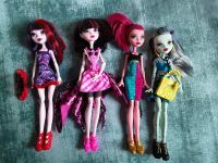 Verschiedene Monster High Puppen für je 20€ VB Kreis Pinneberg - Schenefeld Vorschau