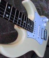 FGN E-Gitarre J-Standard, ST-Type im neuwertigen Top-Zustand Niedersachsen - Holtland Vorschau