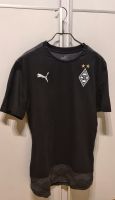 PUMA Borussia Mönchengladbach T-Shirt Trikot Gr. M - Neu Nordrhein-Westfalen - Willich Vorschau