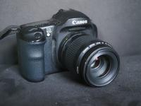Schöne Canon EOS 10D (ohne Objektiv!!) Berlin - Zehlendorf Vorschau