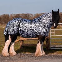 Sale Ekzemerdecke TOP ANGEBOT im Zebra Look oder navy, UV-beständig,trocknet schnell,viel Bewegungsfreiheit,Bauchlatz abnehmbar,großer Schweiflatz 125,135,145,155,165 Fliegendecke Neuware Nordrhein-Westfalen - Kempen Vorschau