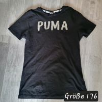 Puma Tshirt Größe 176 Bremen - Seehausen  Vorschau