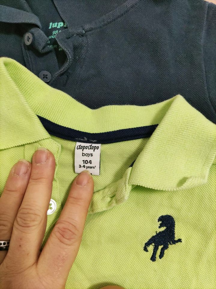 Polo Shirt jungen in Wabern