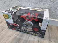 RC Auto für Kinder Nordrhein-Westfalen - Elsdorf Vorschau