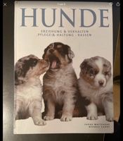 Buch Hunde Erziehung, Verhalten , Haltung Nordrhein-Westfalen - Lüdenscheid Vorschau