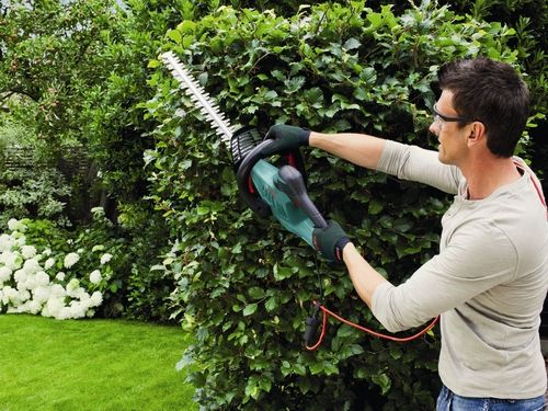 Heckenschere BOSCH Elektro 50cm mieten leihen Verleih in Bielefeld