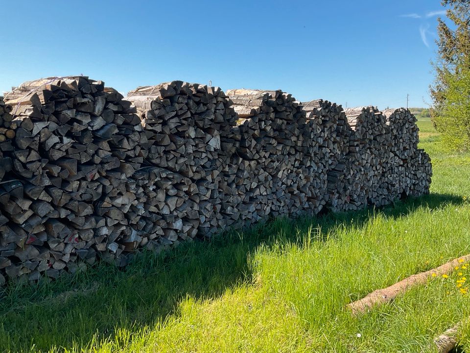 Brennholz Buche in Wertingen