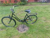 Fahrrad  28 Zoll Schleswig-Holstein - Glückstadt Vorschau