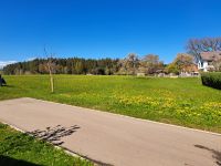 Wiese ,Grünland ,zuverpachten Baden-Württemberg - Grömbach Vorschau