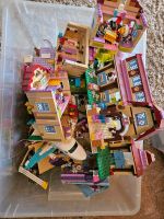 Lego friends Sammlung Hessen - Neuenstein Vorschau