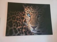 Wandbild groß Leopard neu Bayern - Cham Vorschau