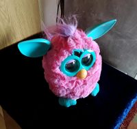 Furby Hasbro 2012 ❤ funktioniert Bayern - Mühlhausen i.d. Oberpfalz Vorschau