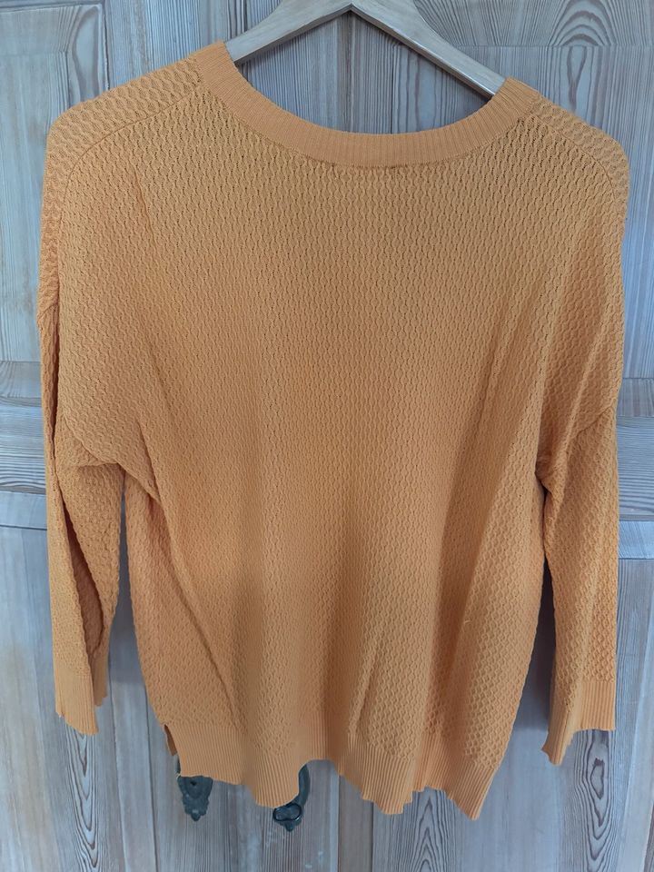 Zara Damen Pullover Frühling Gr.L neuwertig! in Bornheim