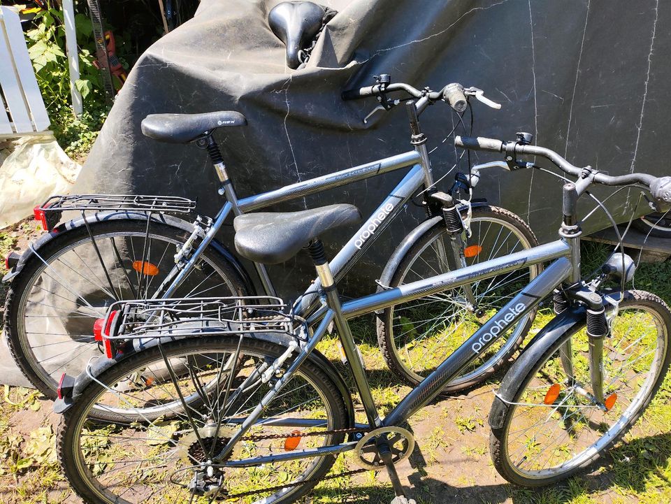 2 x 28 Zoll Herren inFahrrad Prophete in Bielefeld