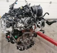 Motor Komplett SEAT Alhambra CUW CUWA 2.0 TDI 67.000km 184 PS Brandenburg - Küstriner Vorland Vorschau