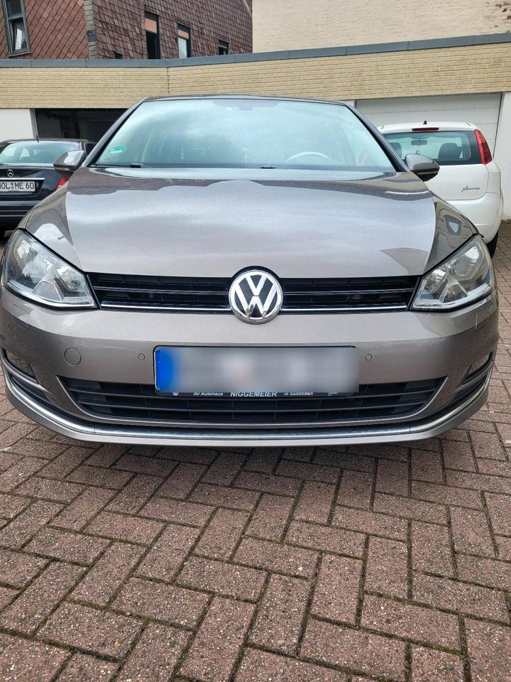 VW Golf 7  2.0TDI Allstar in Holzminden