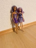 Barbies 2 elfen Nordrhein-Westfalen - Freudenberg Vorschau