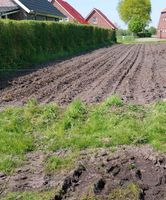 Suche Striegel für Kartoffeln Cramer Rau Kombi Niedersachsen - Wiesmoor Vorschau