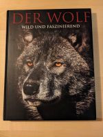 Der Wolf, wild und faszinierend Bayern - Immenstadt Vorschau