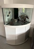 Juwel trigon 190 Liter Aquarium gebraucht mit viel Zubehör Nordrhein-Westfalen - Waltrop Vorschau