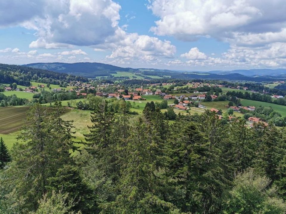 Bayerischer Wald auf 800 m Höhe- Willkommen in Schöfweg