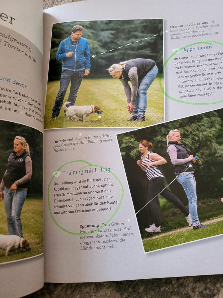 Hundetraining mit Martin Ritter DOGS partnerschaftlich leise in Hattingen