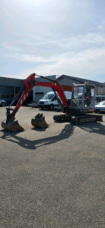 Minibagger Bagger Neuson 6003 RD  5,5 Tonnen  Löffelpaket in Zimmern ob Rottweil