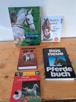 Pferde Bücher Rheinland-Pfalz - Stadecken-Elsheim Vorschau