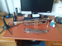 Eine Trompete in neuwertigem Zustand (Arnolds & Sons TR-4200G) Rheinland-Pfalz - Zeltingen-Rachtig Vorschau