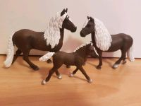 Schleich Pferde Set Stute Hengst Fohlen Brandenburg - Hohen Neuendorf Vorschau