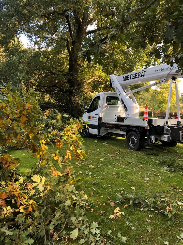 Wurzelfräsen Baumfällung Baumpflege EPS in Saerbeck