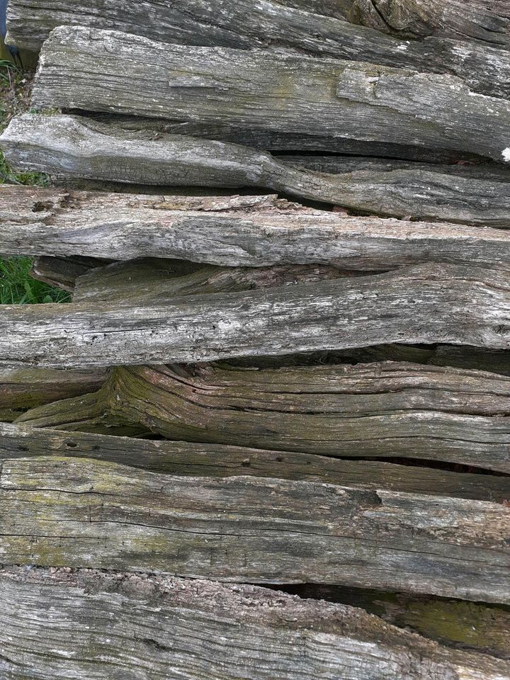 Weidepfähle Holz Deko Garten Eiche Zaun Alt in Harpstedt