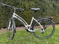 Damenfahrrad 28 Zoll Nordrhein-Westfalen - Leopoldshöhe Vorschau