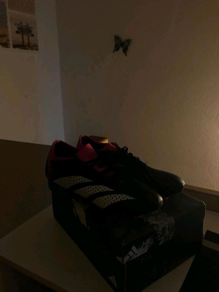 Adidas predator fußballschuhe in Dülmen