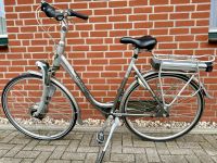 Gazelle Orange Innergy E-Bike Pedelec Damen Fahrrad Nordrhein-Westfalen - Rees Vorschau