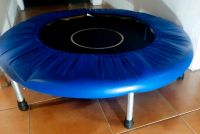 Indoor Kindertrampolin 102 cm Durchmesser Sachsen - Bannewitz Vorschau