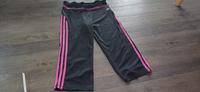Adidas Climacool Hose schwarz + pink Größe 36 Capri Leggings Sachsen - Waldheim Vorschau