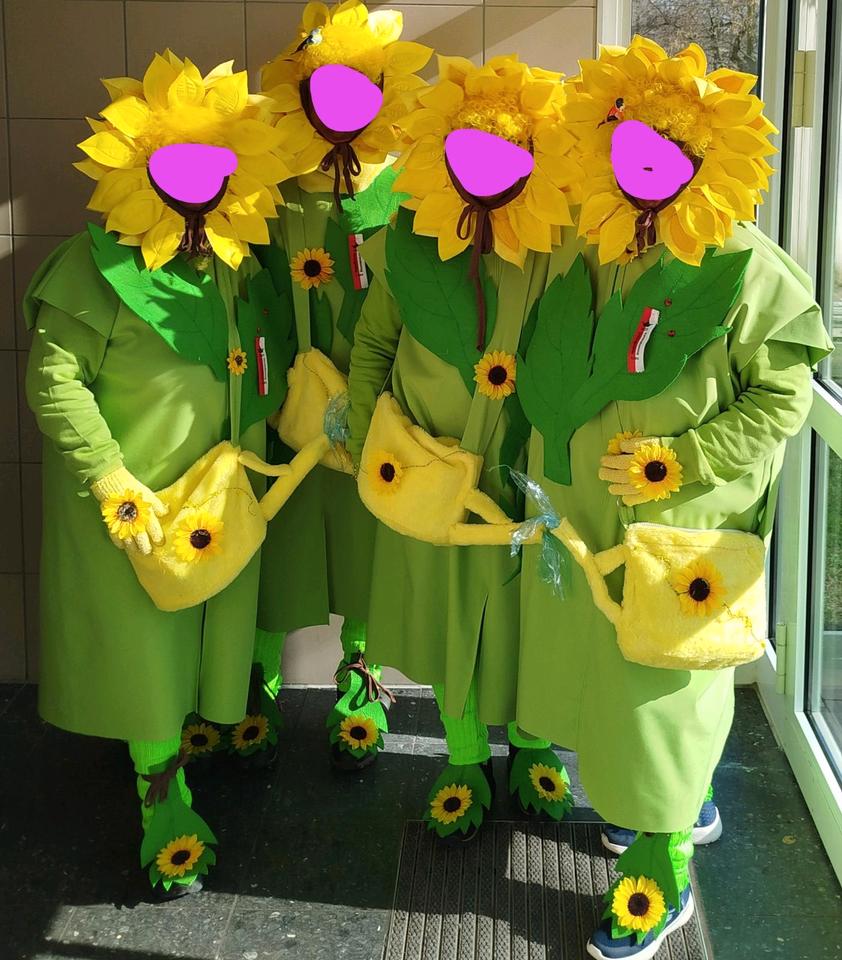 Karneval Kostüm, Fasching,Motto " Dat Sonneblömsche" Gr.48-52 in Marl