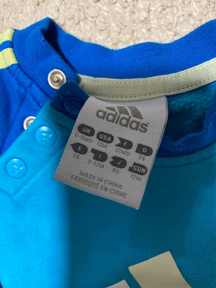 Adidas Jogginganzug Größe 74 blau in Bad Kötzting